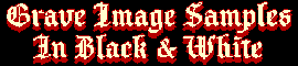 Graves Image Samples